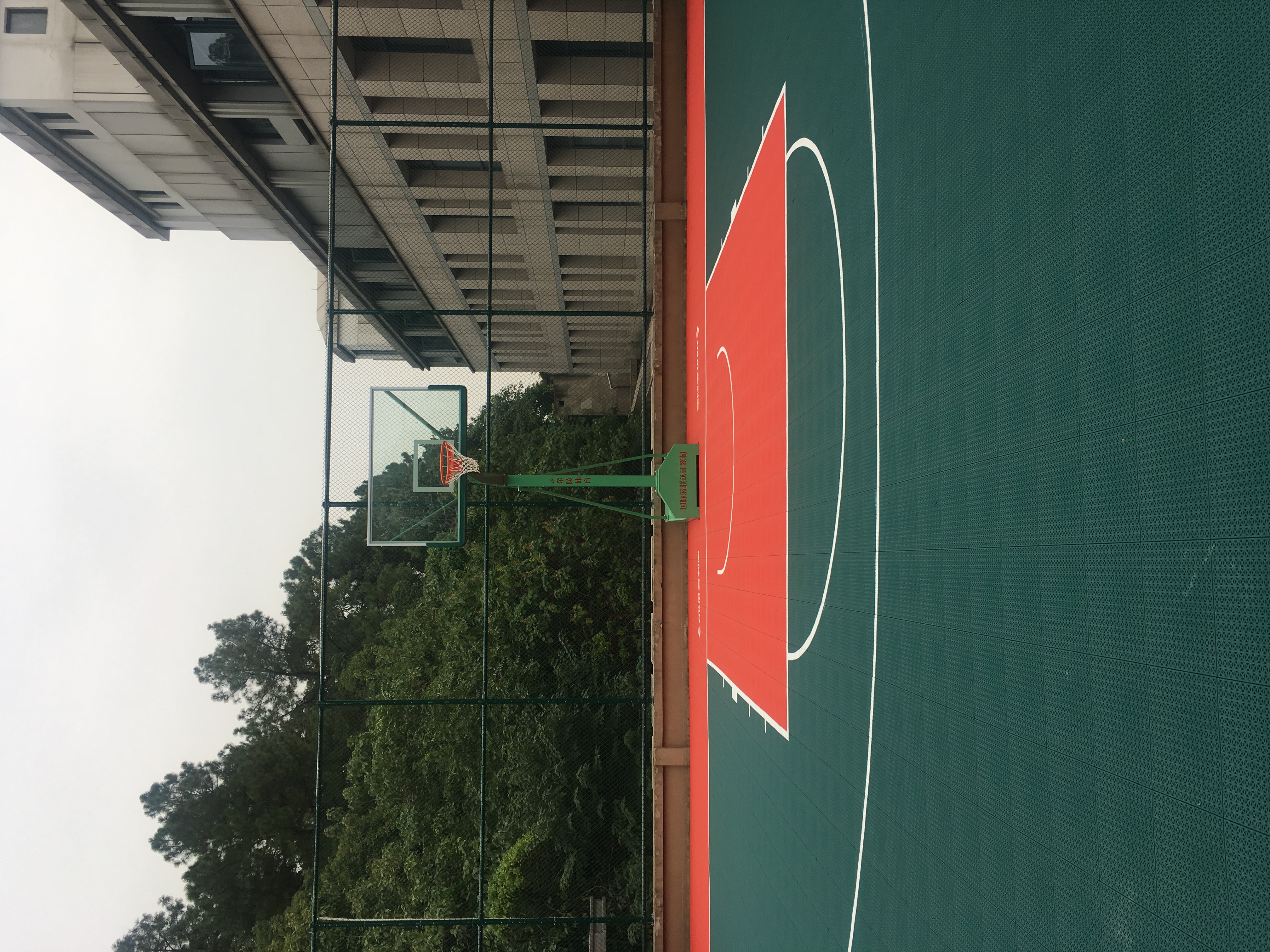 臨平區(qū)黨?；@球場