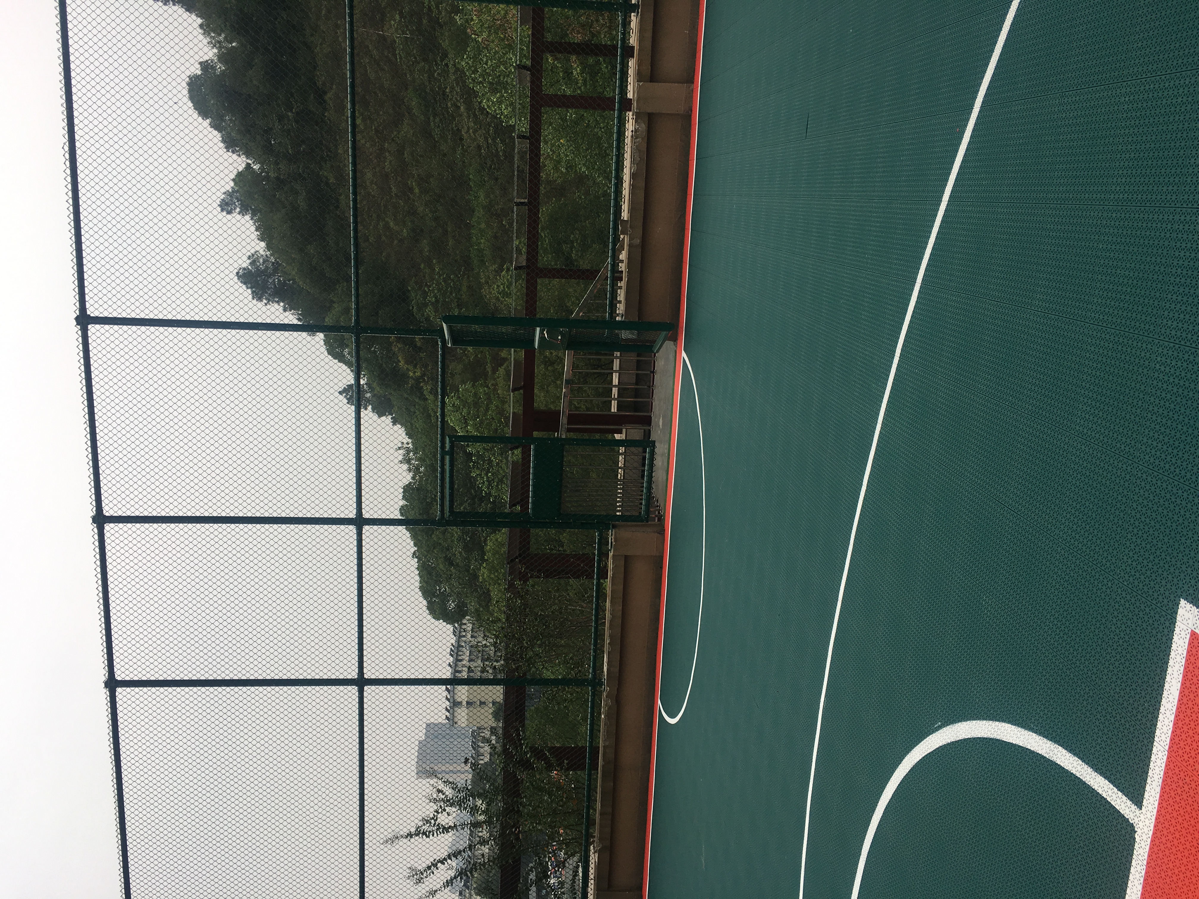 臨平區(qū)黨?；@球場