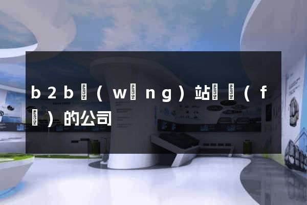 b2b網(wǎng)站開發(fā)的公司