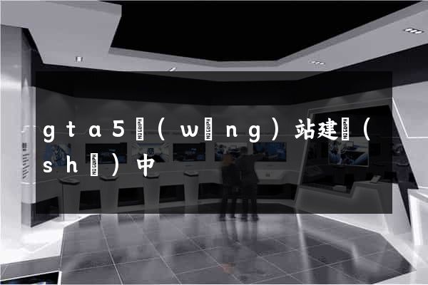 gta5網(wǎng)站建設(shè)中