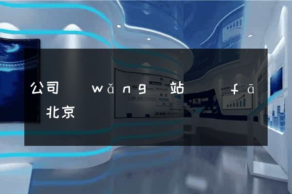 公司網(wǎng)站開發(fā)北京