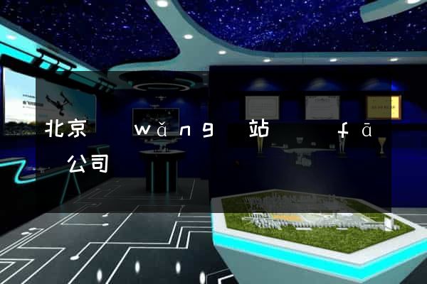 北京網(wǎng)站開發(fā)公司