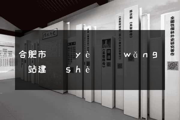 合肥市專業(yè)網(wǎng)站建設(shè)