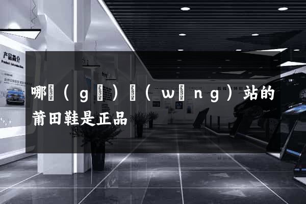 哪個(gè)網(wǎng)站的莆田鞋是正品