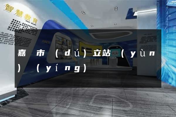 嘉興市獨(dú)立站運(yùn)營(yíng)