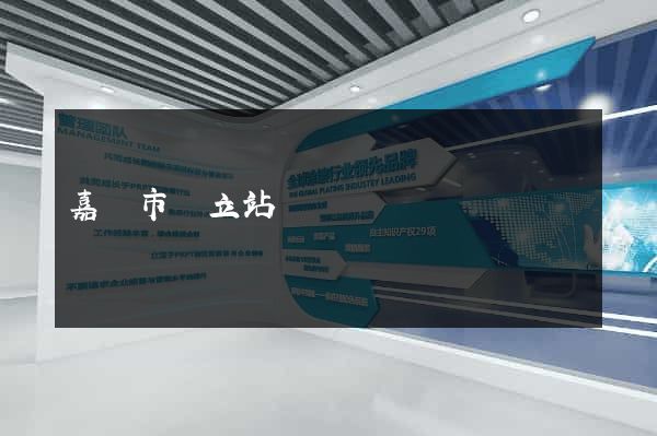 嘉興市獨立站運營