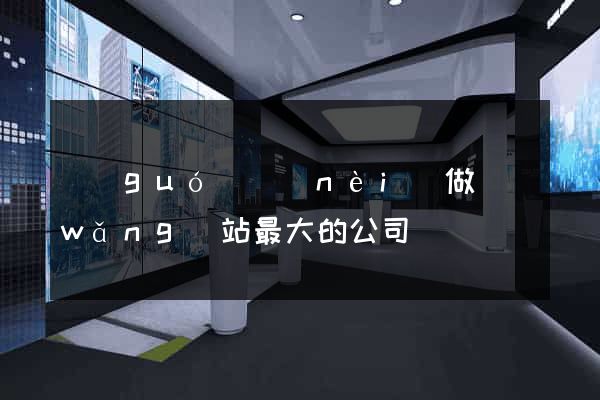 國(guó)內(nèi)做網(wǎng)站最大的公司