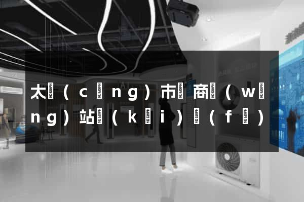 太倉(cāng)市電商網(wǎng)站開(kāi)發(fā)
