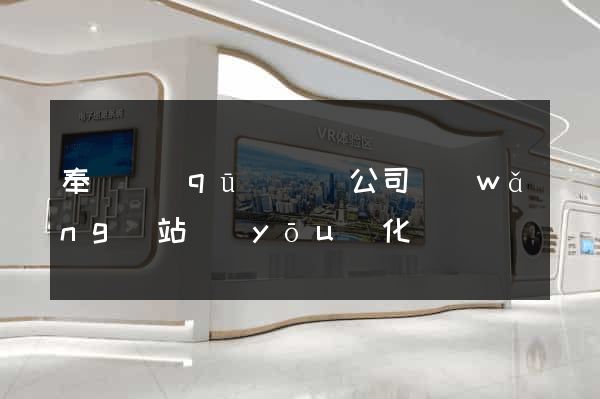 奉賢區(qū)設計公司網(wǎng)站優(yōu)化