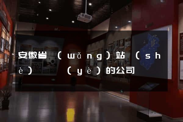 安徽省網(wǎng)站設(shè)計專業(yè)的公司