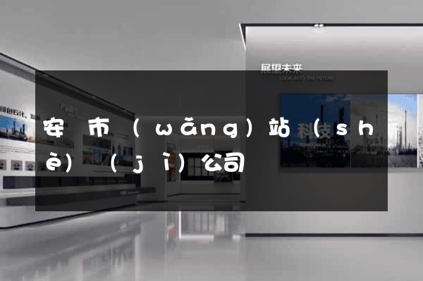 安慶市網(wǎng)站設(shè)計(jì)公司