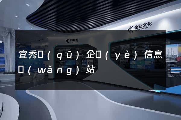 宜秀區(qū)企業(yè)信息網(wǎng)站