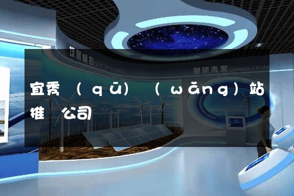 宜秀區(qū)網(wǎng)站推廣公司