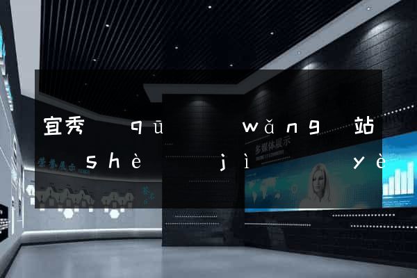 宜秀區(qū)網(wǎng)站設(shè)計(jì)專業(yè)的公司