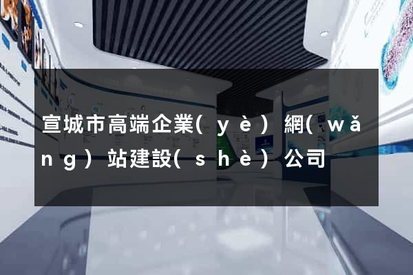 宣城市高端企業(yè)網(wǎng)站建設(shè)公司