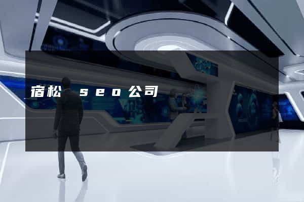 宿松縣seo公司 宿松縣seo公司