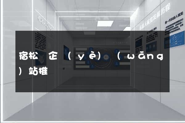 宿松縣企業(yè)網(wǎng)站推廣