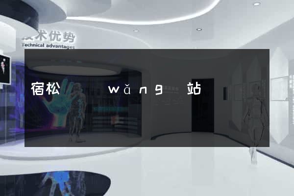 宿松縣網(wǎng)站營銷