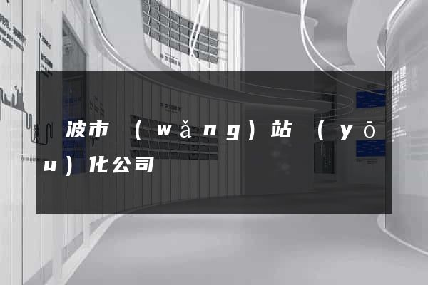 寧波市網(wǎng)站優(yōu)化公司