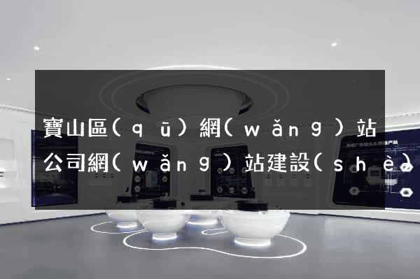 寶山區(qū)網(wǎng)站公司網(wǎng)站建設(shè)