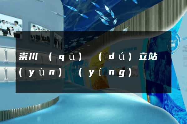 崇川區(qū)獨(dú)立站運(yùn)營(yíng)