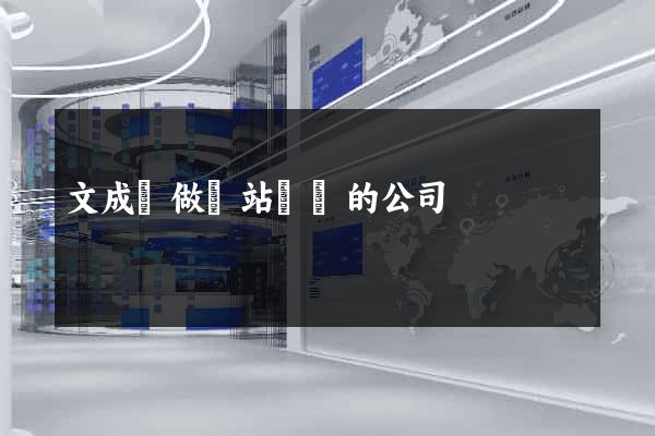 文成縣做網站設計的公司