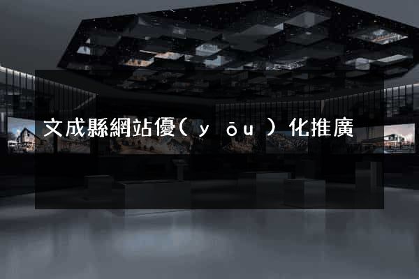 文成縣網站優(yōu)化推廣