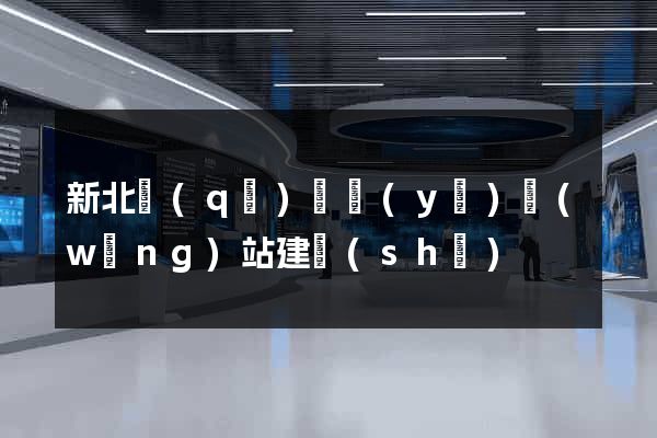 新北區(qū)專業(yè)網(wǎng)站建設(shè)