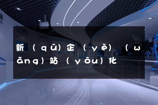新區(qū)企業(yè)網(wǎng)站優(yōu)化