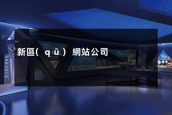 新區(qū)網站公司