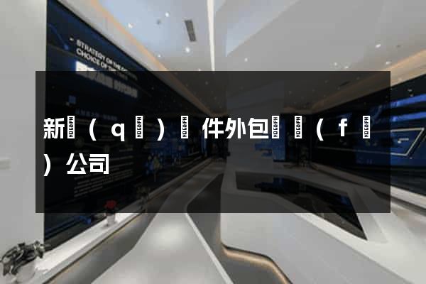 新區(qū)軟件外包開發(fā)公司