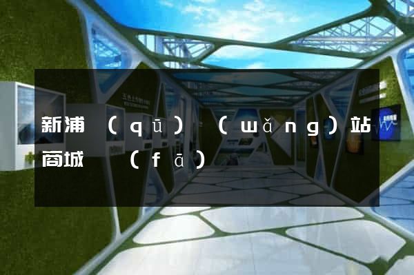 新浦區(qū)網(wǎng)站商城開發(fā)