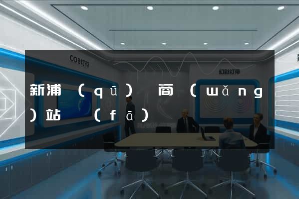 新浦區(qū)電商網(wǎng)站開發(fā)