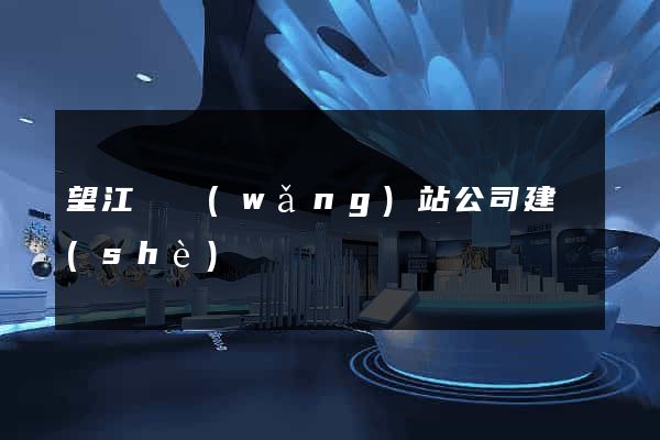 望江縣網(wǎng)站公司建設(shè)