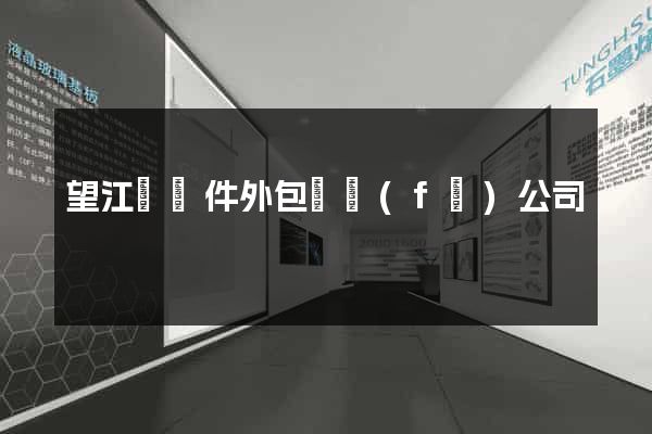 望江縣軟件外包開發(fā)公司