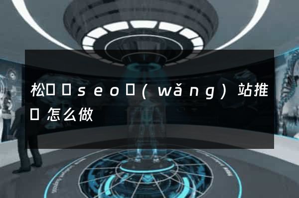 松陽縣seo網(wǎng)站推廣怎么做