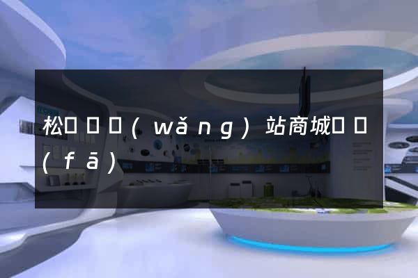 松陽縣網(wǎng)站商城開發(fā)