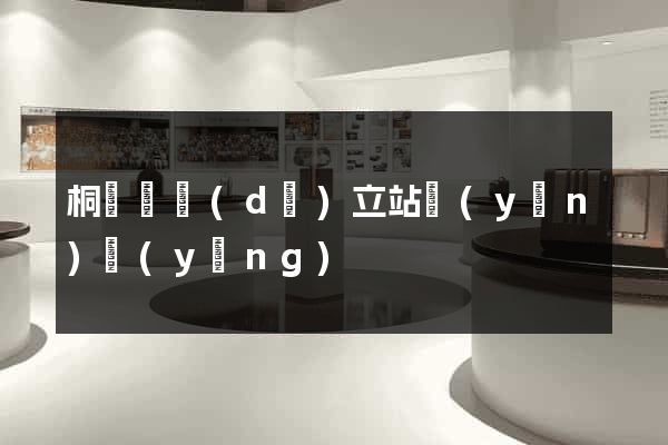 桐廬縣獨(dú)立站運(yùn)營(yíng)