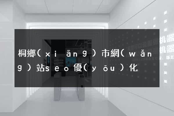 桐鄉(xiāng)市網(wǎng)站seo優(yōu)化