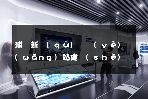 浦東新區(qū)專業(yè)網(wǎng)站建設(shè)