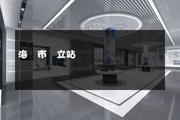 海門市獨立站運營