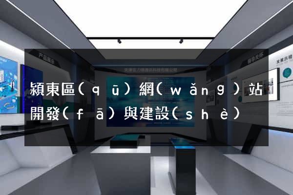 潁東區(qū)網(wǎng)站開發(fā)與建設(shè)