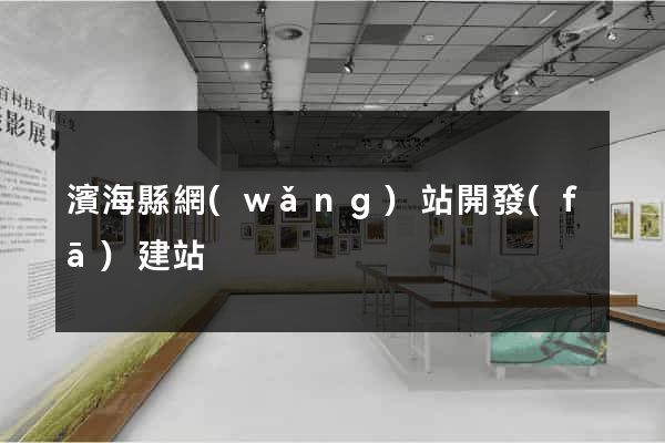 濱?？h網(wǎng)站開發(fā)建站