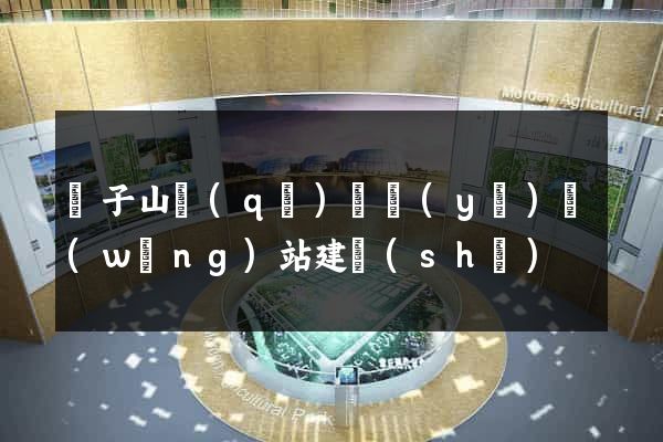 獅子山區(qū)專業(yè)網(wǎng)站建設(shè)