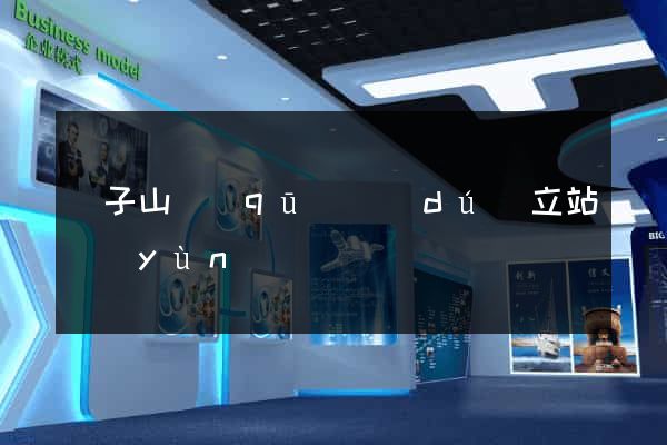 獅子山區(qū)獨(dú)立站運(yùn)營