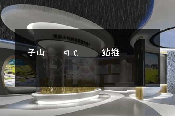 獅子山區(qū)網站推廣營銷