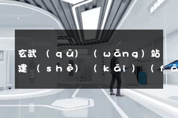 玄武區(qū)網(wǎng)站建設(shè)開(kāi)發(fā)公司