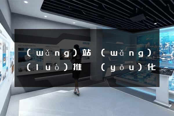 網(wǎng)站網(wǎng)絡(luò)推廣優(yōu)化