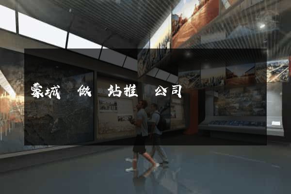 蒙城縣做網站推廣公司