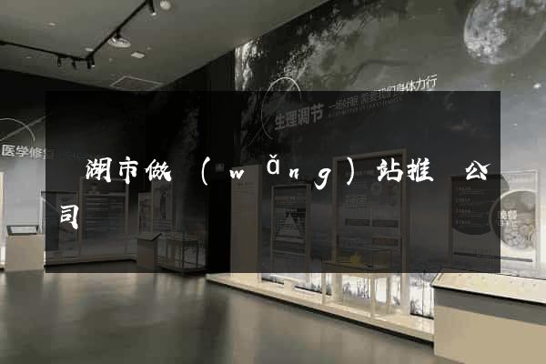 蕪湖市做網(wǎng)站推廣公司